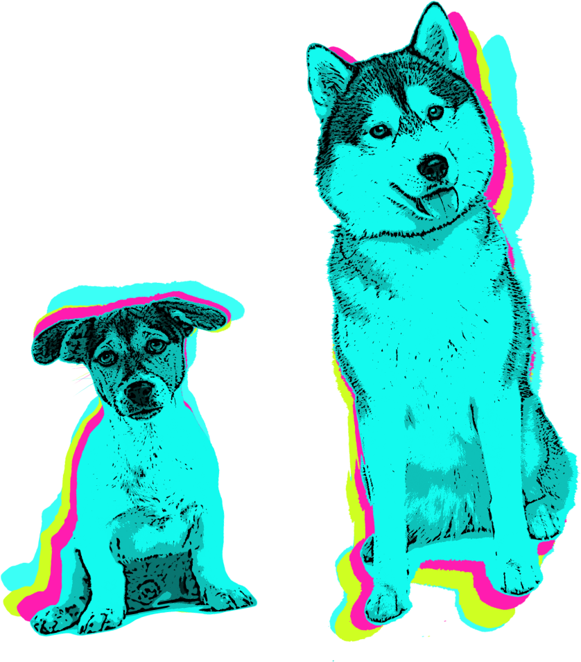Best_Sunday_Ever_-_Cute_Dogs